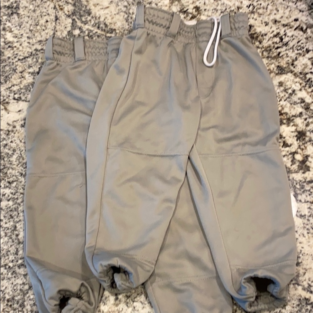Pair of Baseball pants